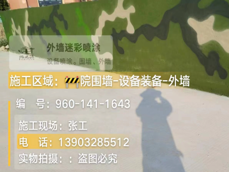 辽源 迷彩漆喷涂价格（按平方米计费）